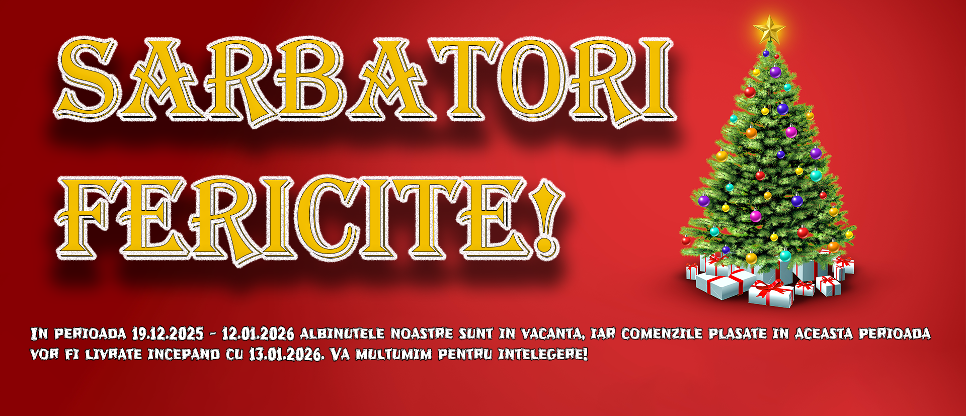 Craciun 2025
